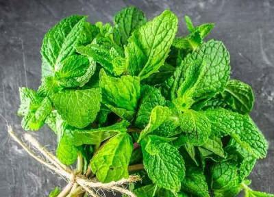 سبزی شگفت انگیزی که روزه داران حتما باید بخورند سبزی شگفت انگیزی که روزه داران حتما باید بخورند