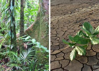 اگر آب ها و خشکی ها جابجا شوند چه اتفاقی می افتد؟ اگر آب ها و خشکی ها جابجا شوند چه اتفاقی می افتد؟